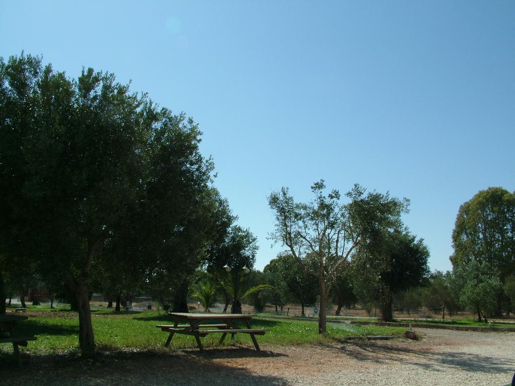 Agriturismo "Terra D'Ulivi" Porto Cesareo Room photo